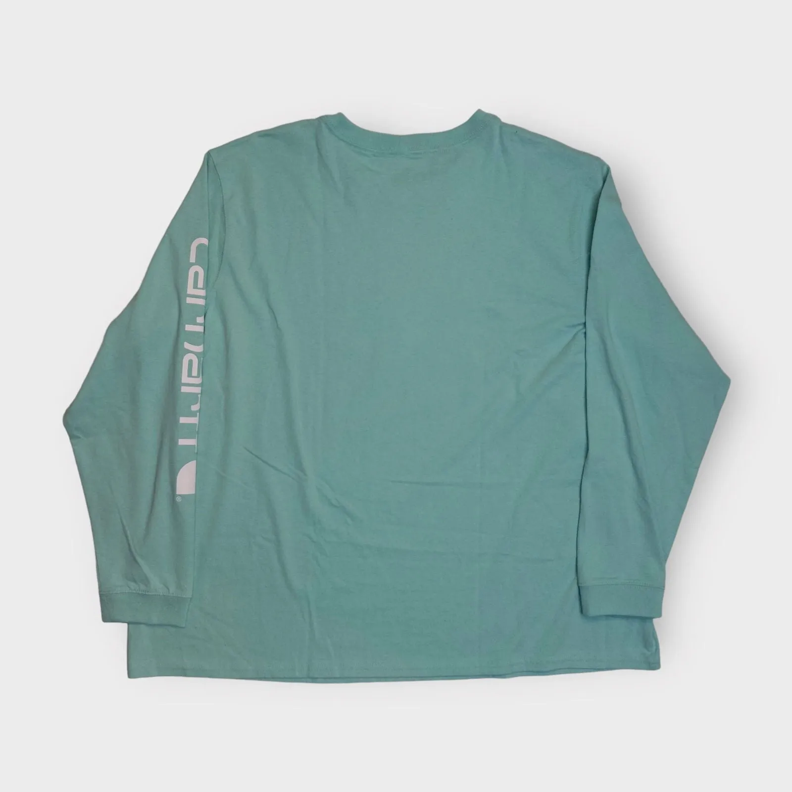 Carhartt Loose Fit Heavyweight Logo Sleeve T-Shirt | 2X(20-22) | Mint Green Solid | NWT