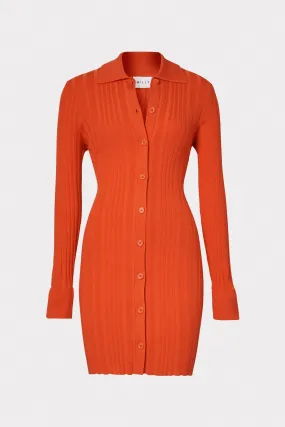 Polo Cardigan Dress
