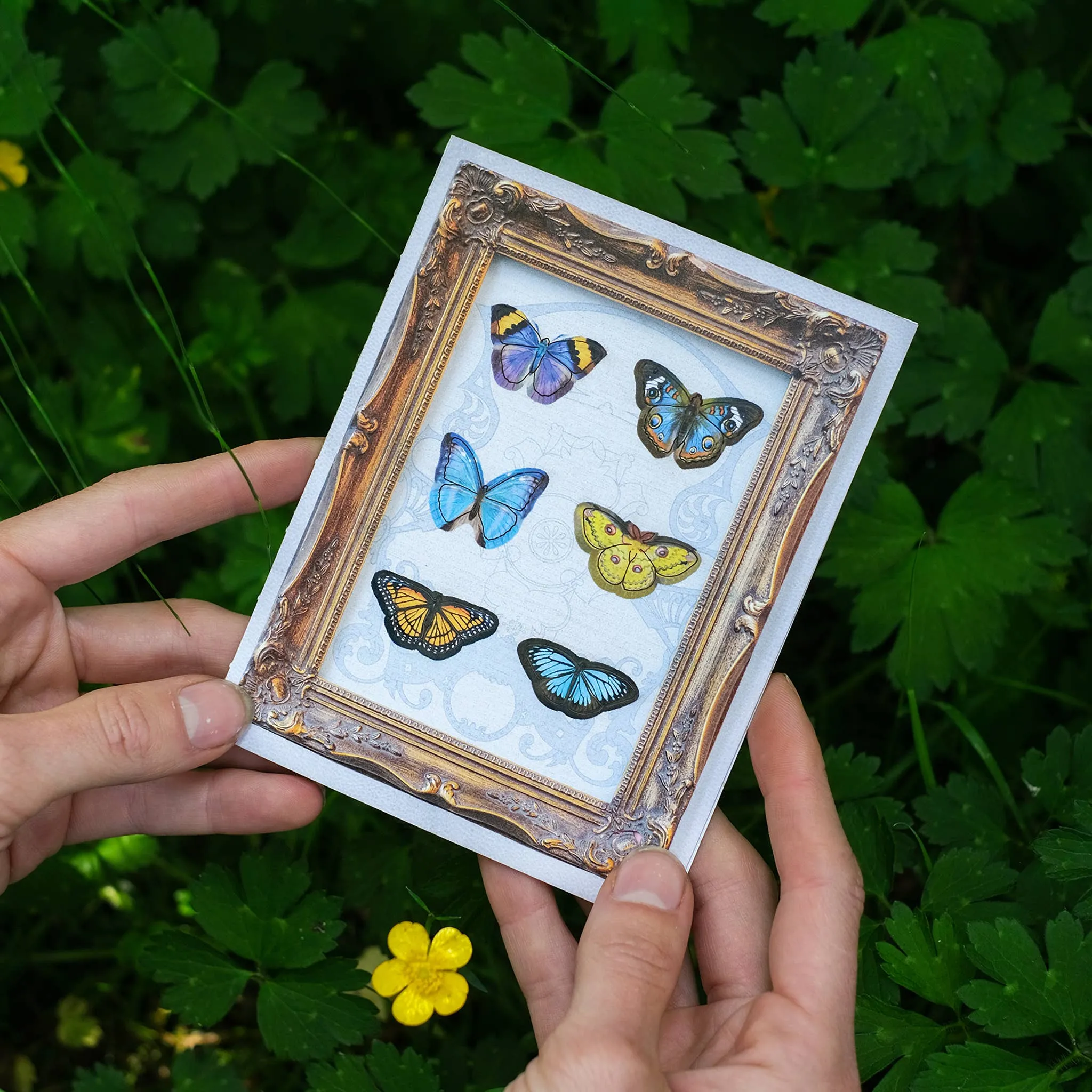 'Sunny' Mini Butterfly 'Pop-Out' Greeting Card