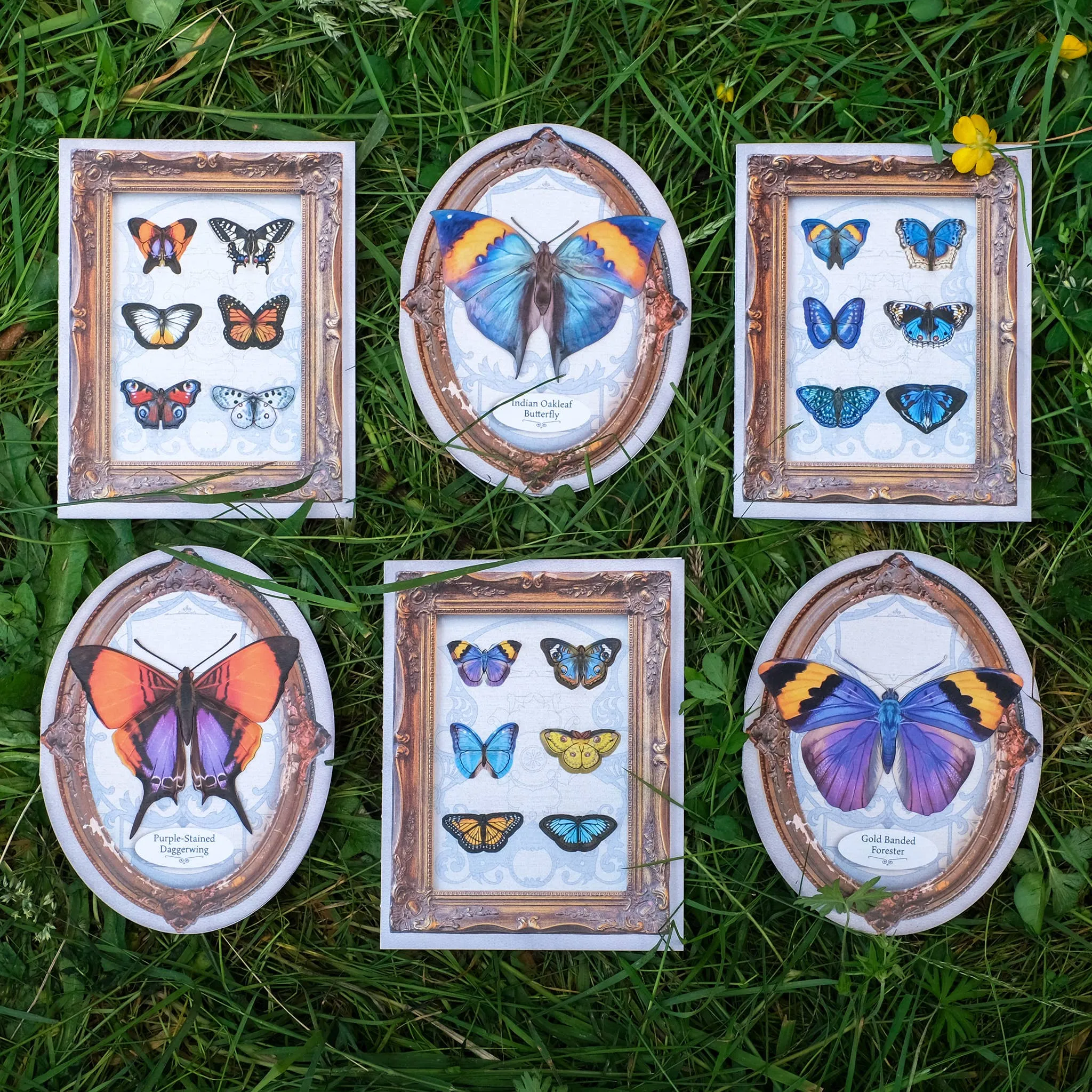 'Sunny' Mini Butterfly 'Pop-Out' Greeting Card