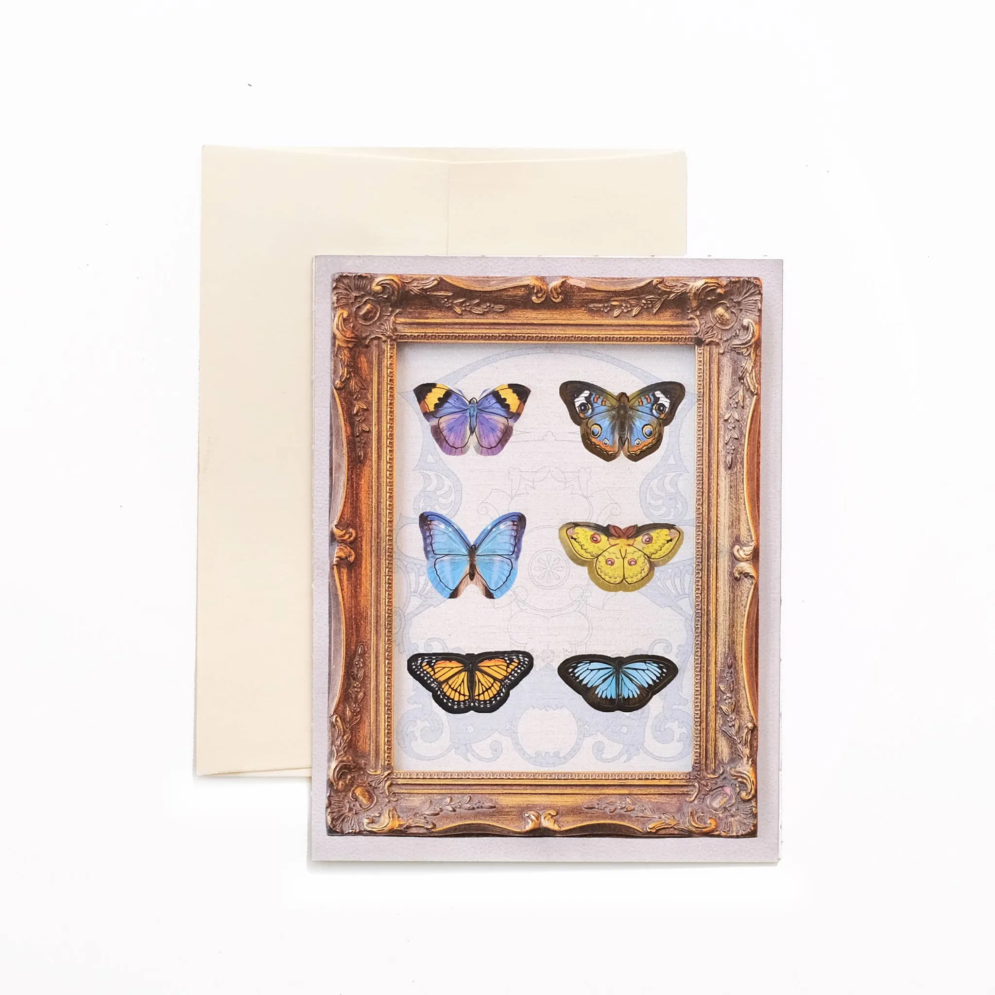 'Sunny' Mini Butterfly 'Pop-Out' Greeting Card