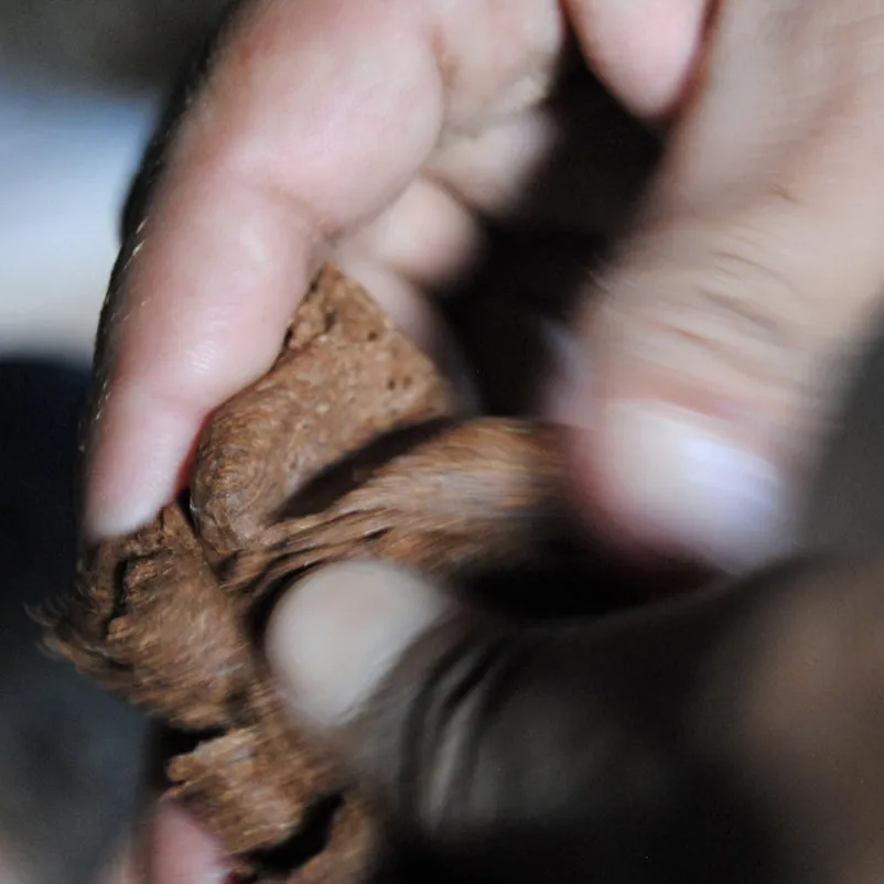 Tube Box Incense _ Himalayan Cedar